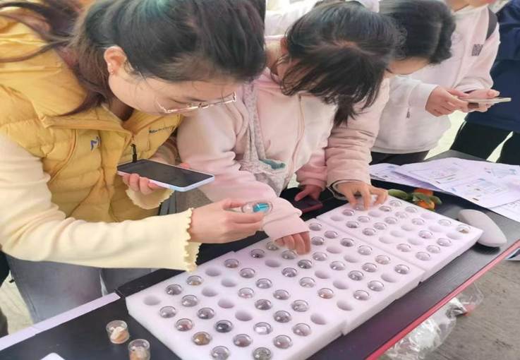 微信图片_20260326114258_177_6