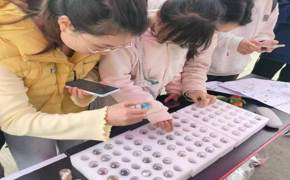 “化”意青春│守护矿产资源，赋能绿色发展，化工协会开展贵州矿物知识宣讲活动